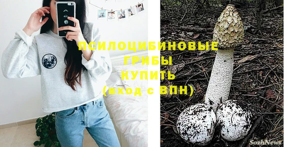 прущие крисы Алексеевка