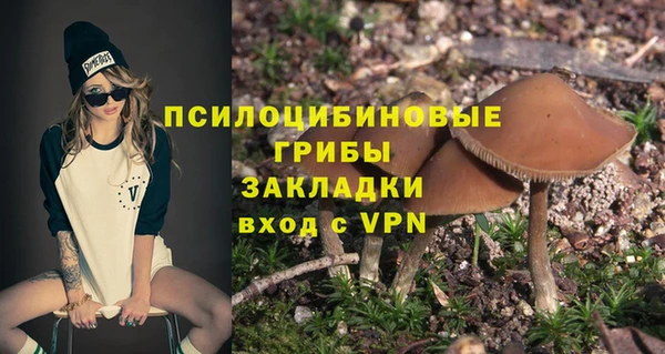 герыч Алексин